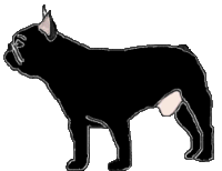 Fauve bringé -sans cravatte ou plastron blanc- (Fau. Bri.)