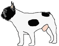 Fauve bringé à panachure blanche envahissante (Fau. Bri. PBl.Env.)