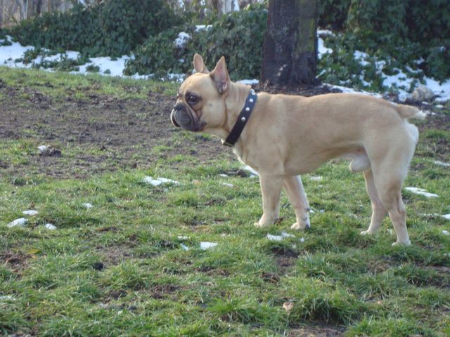 Bond James Bond à 2 ans et 5 mois